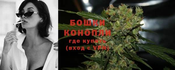 шишки Абаза