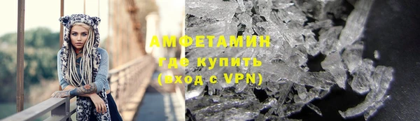 шишки Абаза