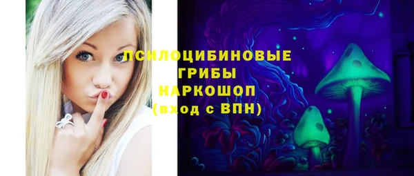 прущие грибы Абдулино