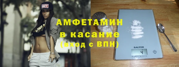 шишки Абаза
