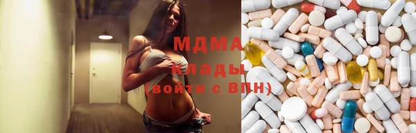 шишки Абаза