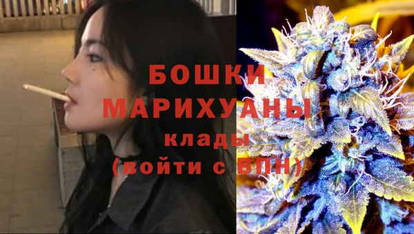 прущие грибы Абдулино