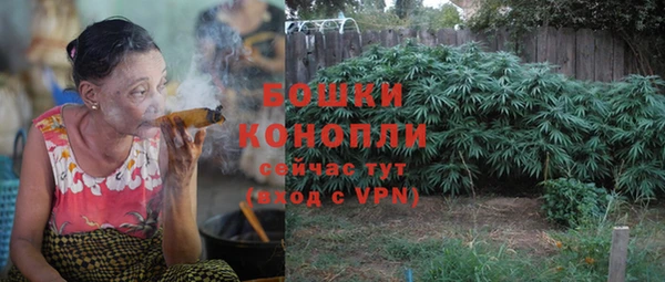 прущие грибы Абдулино