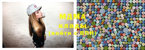 шишки Абаза