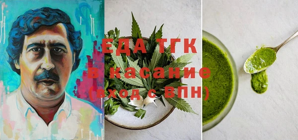 шишки Абаза