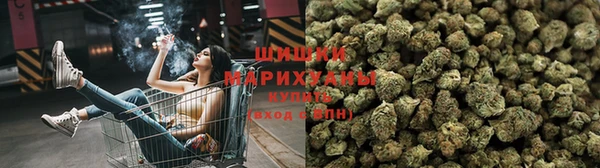 прущие грибы Абдулино
