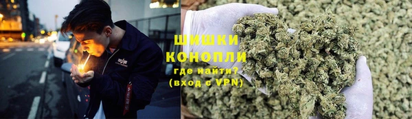 шишки Абаза