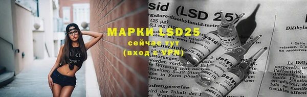 прущие грибы Абдулино