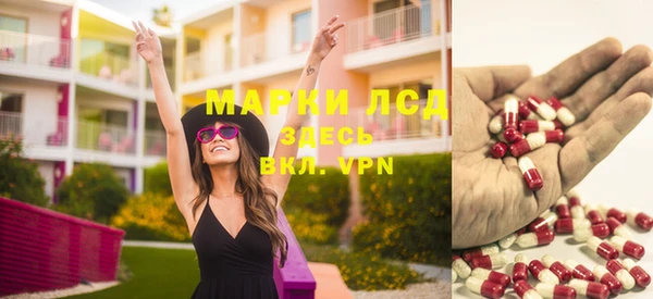 шишки Абаза