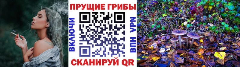 где купить наркоту  Нариманов  kraken ТОР  Галлюциногенные грибы GOLDEN TEACHER 